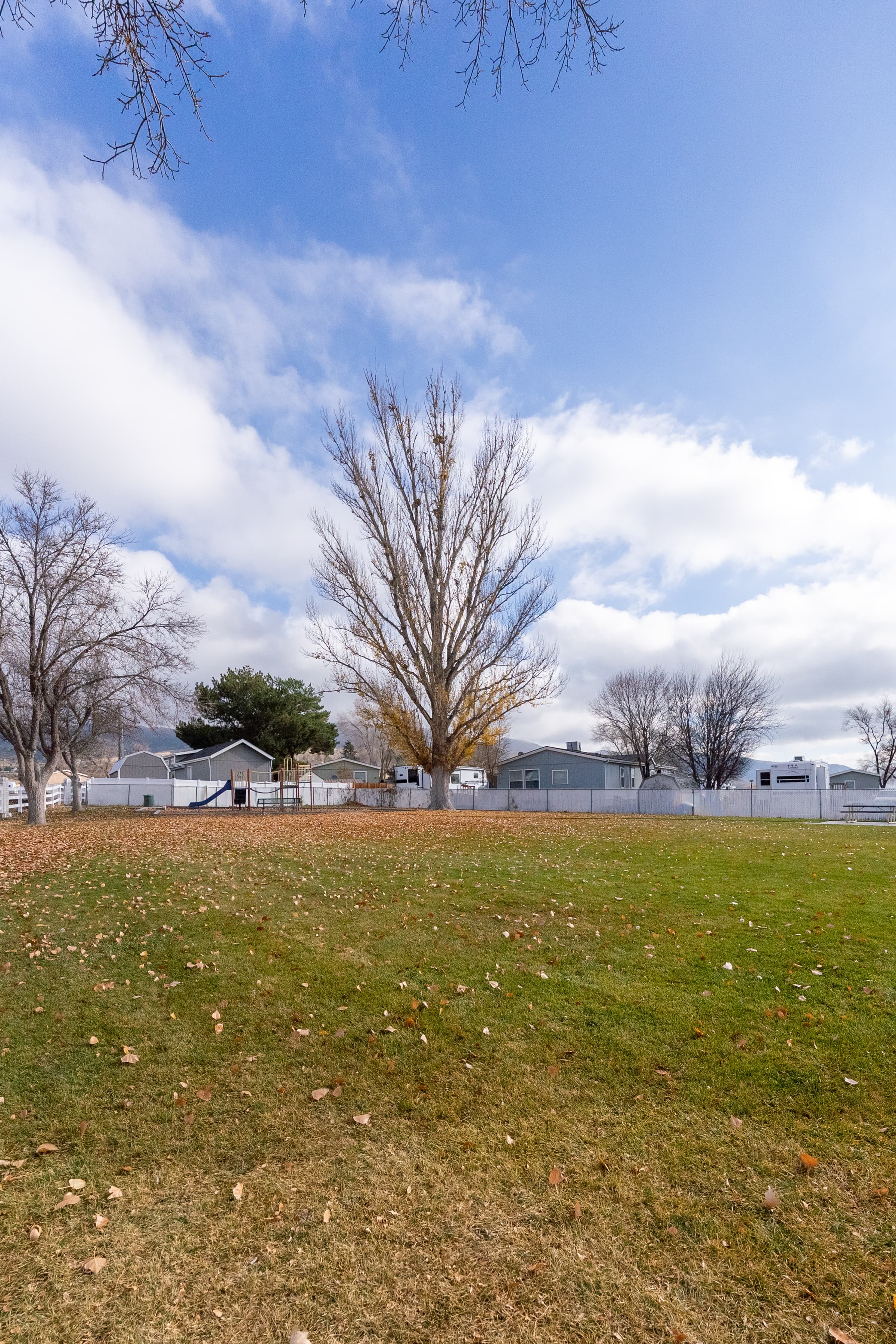 Couple dining by the pool